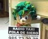 Taxi pola siero