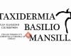 Taxidermia basilio mansilla