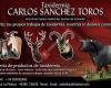 Taxidermia Carlos Sanchez Toros
