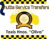 Taxis Hermanos Oliva Pilar de la Horadada-Mil Palmeras-Torre de la Horadada