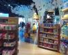 the disney store