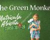 The Green Monkey Pinto