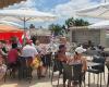The Oasis San Luis