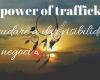 The power of traffickers