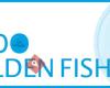 Todogoldenfish.com