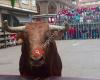 Toro En la Calle