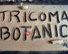 Tricoma Botanic Grow Shop