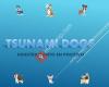 Tsunami Dogs - Adiestramiento En Positivo