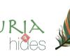 TURIA HIDES Turismo fotográfico de fauna
