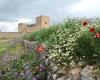 Turismo Pedraza Segovia