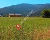 Turismo Rural Las Golondrinas