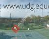 UdGEsports