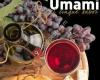 Umami,  el cinquè sabor