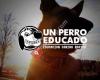 Un Perro Educado - Educación Canina