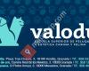 valodu