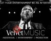 Velvet Music Agency