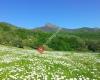 Venta Pepin