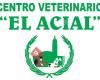 Veterinario 