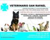 Veterinario san rafael