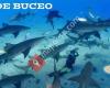 Viajes De Buceo BluePlanet