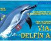 Viajes Delfín Azul 5.0