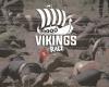 Vikings Race