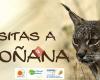 Visitas a Doñana