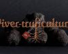 Viver-truficultura