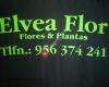 Vivero de plantas El Vea-Flor