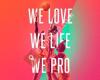 WePro Basketball
