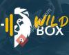 wild_box_