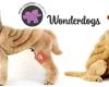 Wonderdogs