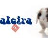 Xaraleira
