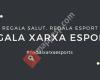Xarxa Esports