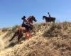 Xtreme Doñana - Horse Park