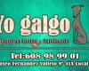 Yo Galgo Peluquería Canina