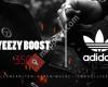 Zapatillas Adidas Yeezy Boost 350